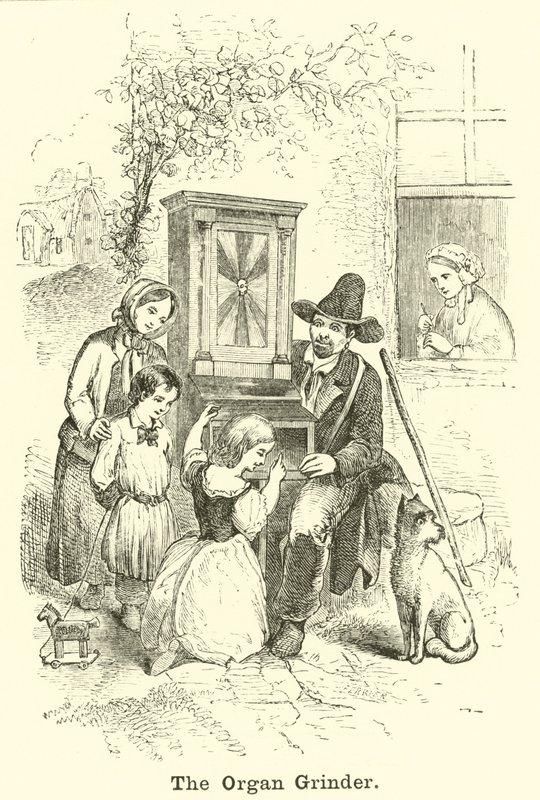 The Organ Grinder by English School