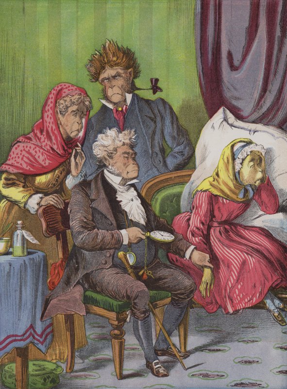 The Physician by English School