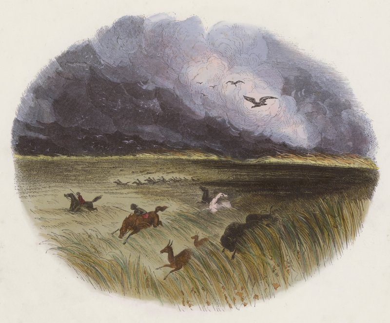 The Prairie on Fire by English School