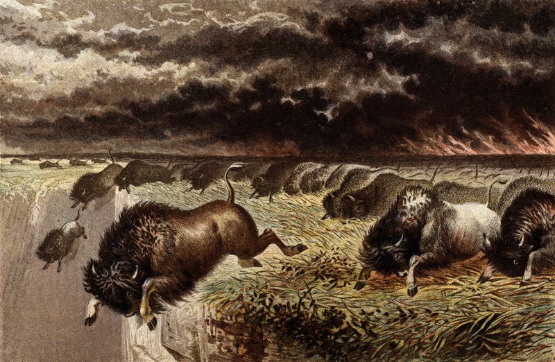 The Prairie on Fire by English School