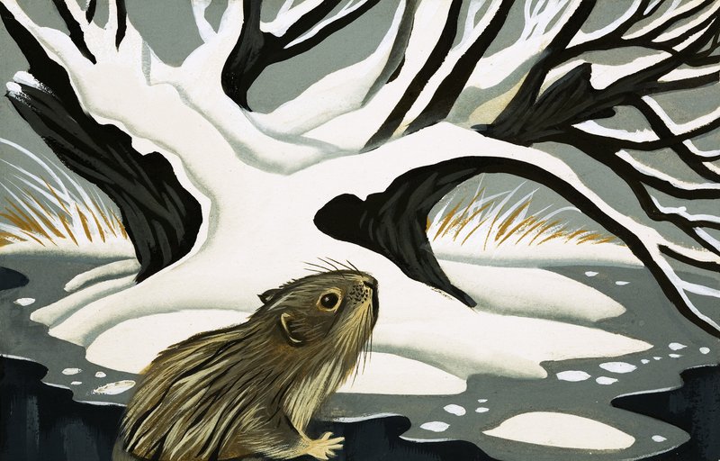 The Water Vole by English School