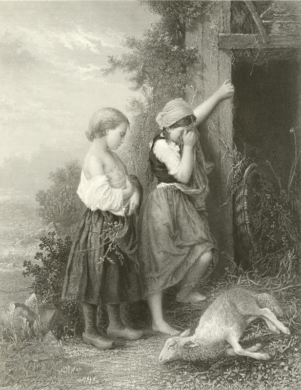 The Dead Lamb by English School