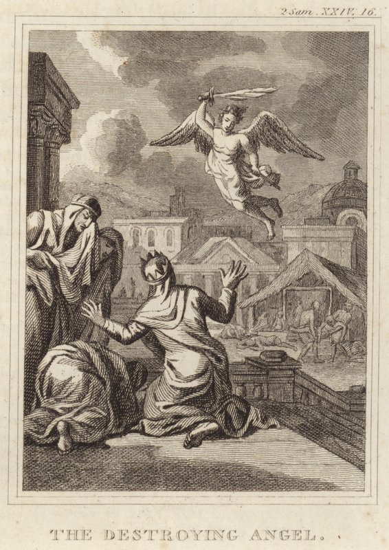 The Destroying Angel by English School