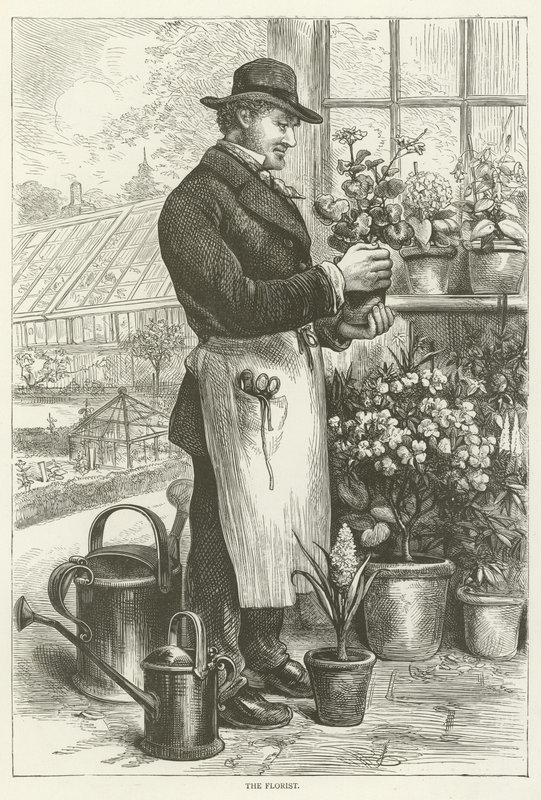 The Florist by English School