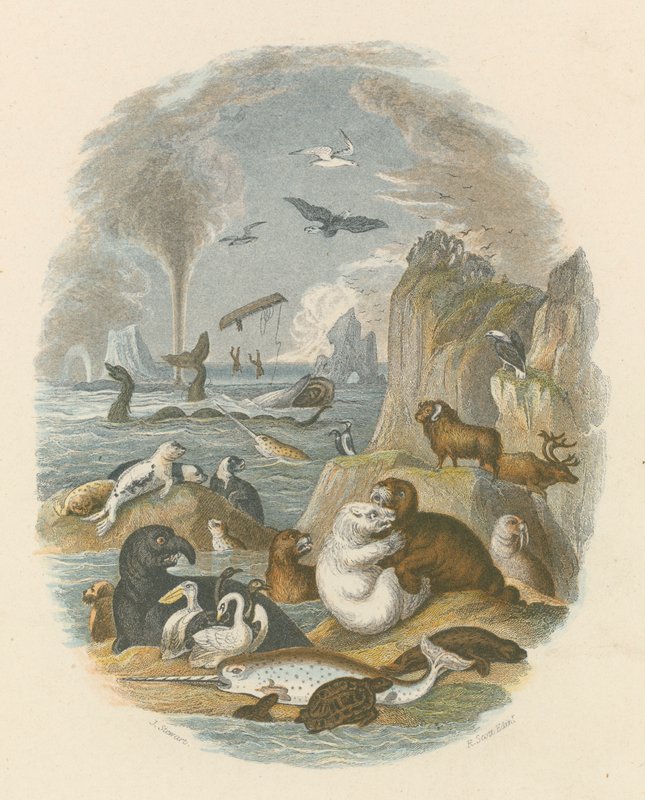 The natural world by English School