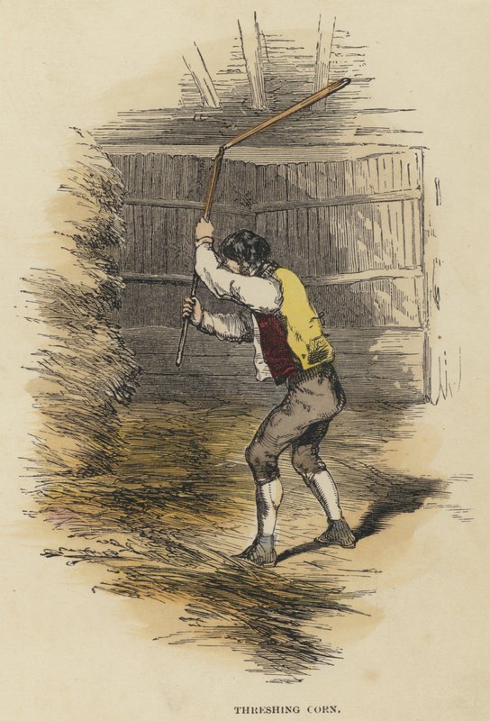 Threshing Corn by English School