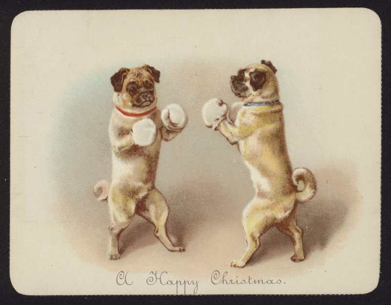 Two dogs boxing by English School
