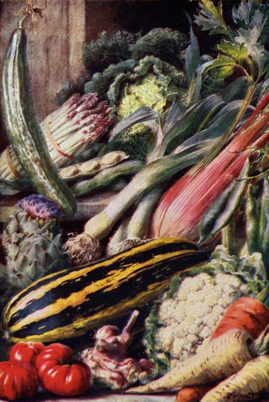 Vegetables by English School