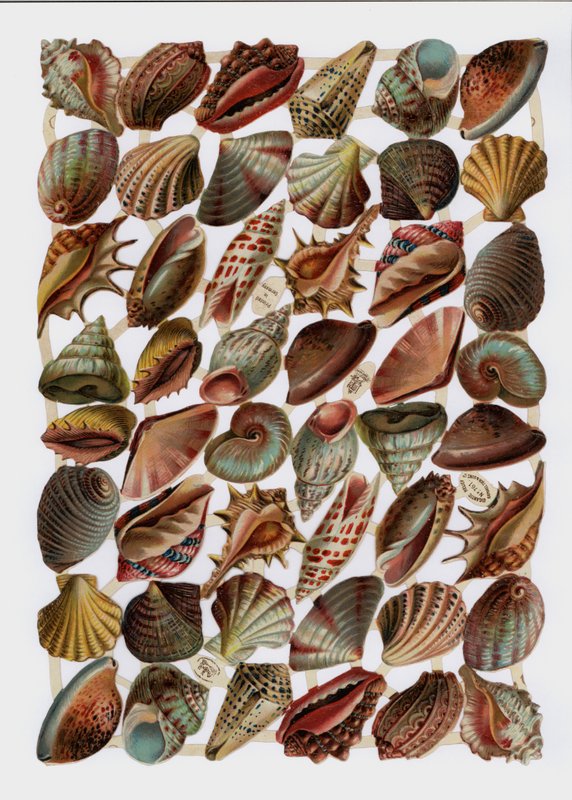 Victorian Scraps by English School