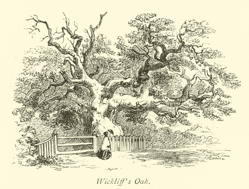 Wickliffs Oak by English School