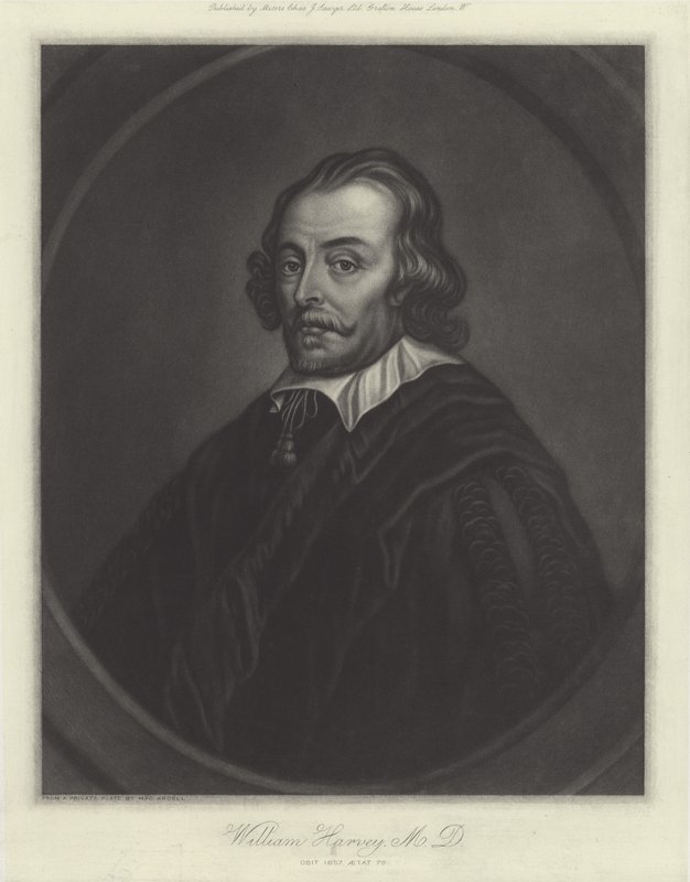 William Harvey by English School