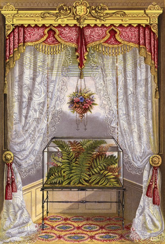 Window Decoration by English School