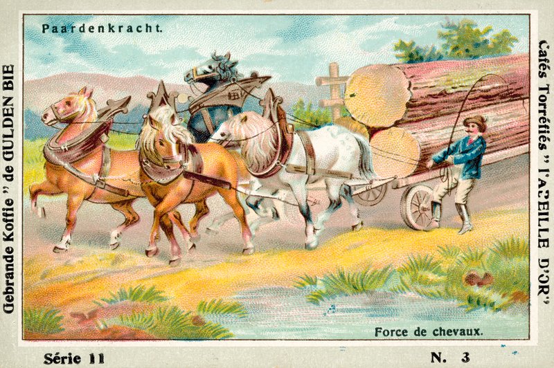 Horsepower by European School