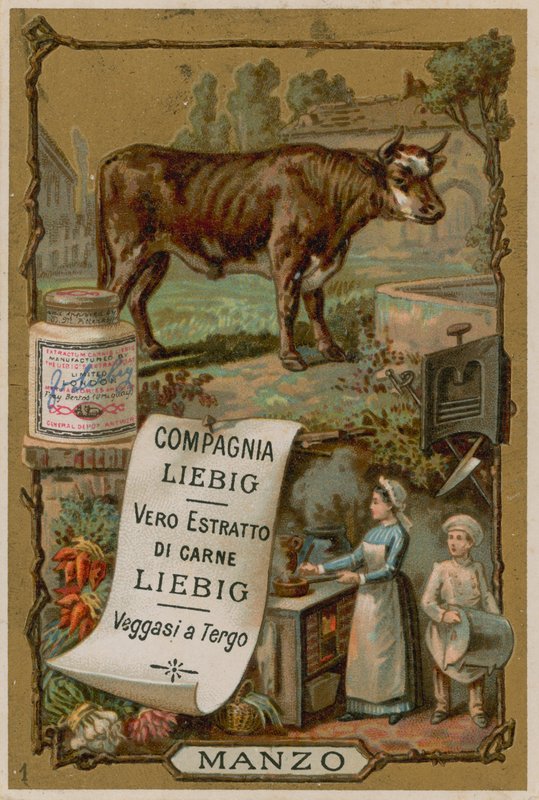 Beef by European School