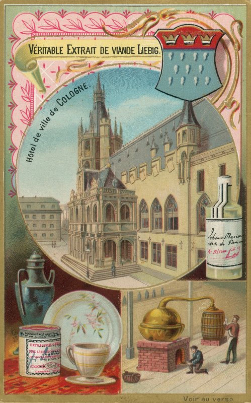 Cologne by European School