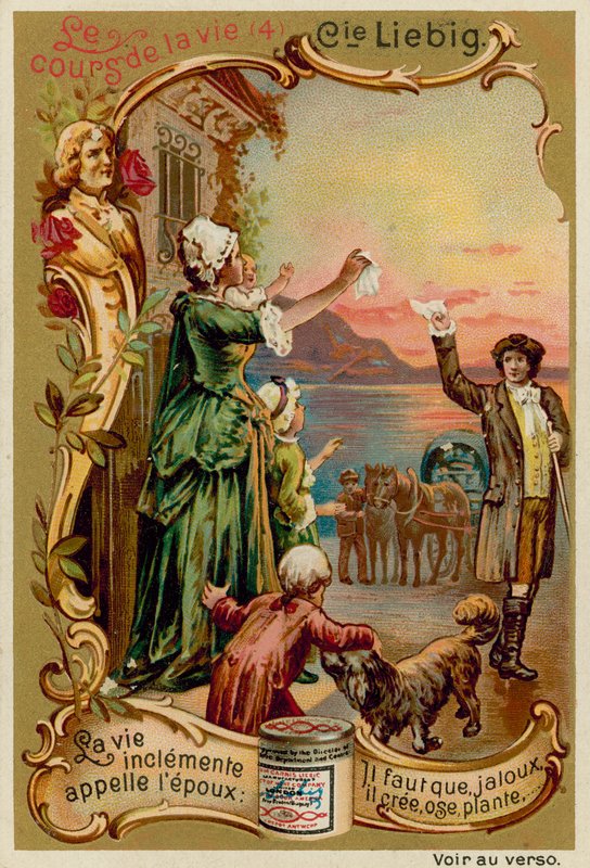 Family by European School