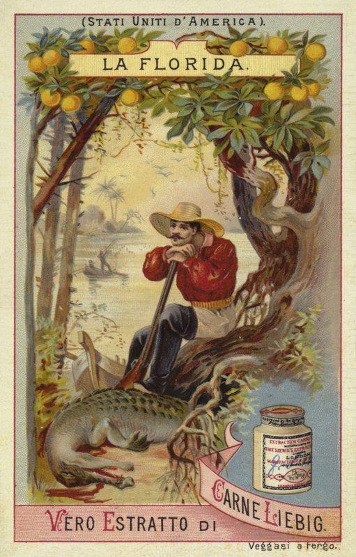 Florida by European School