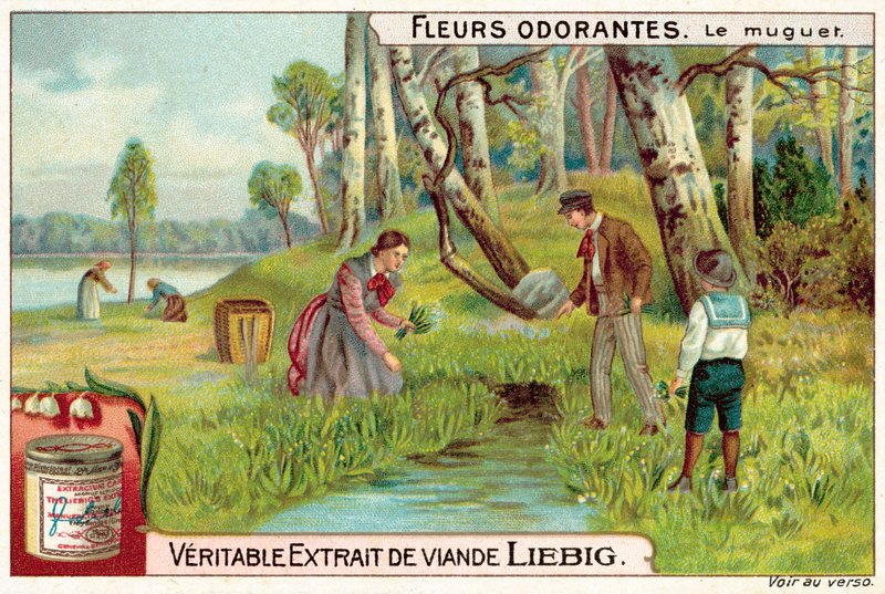 Lily of the Valley by European School