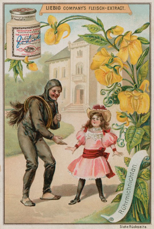 Mimosa by European School
