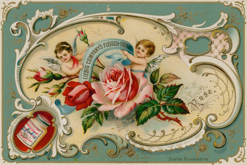 Rose by European School