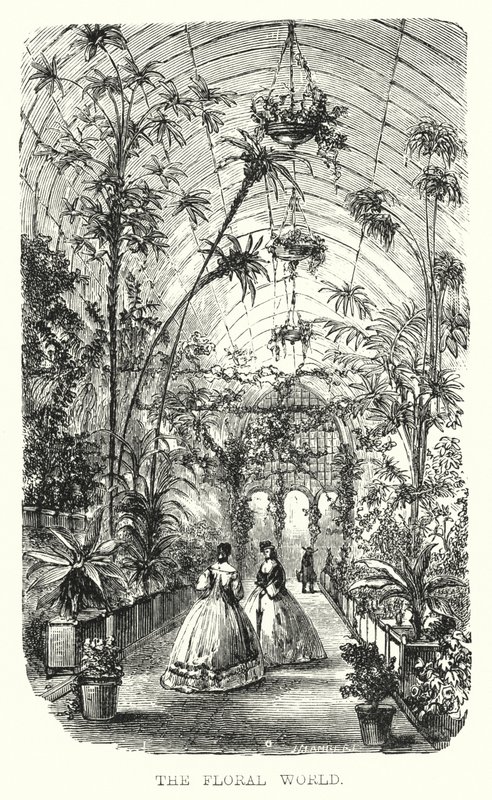 The Floral World by European School