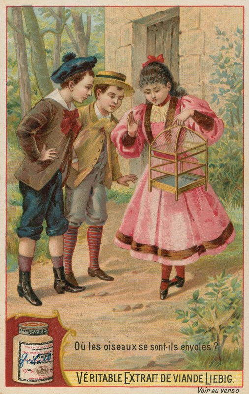 The Lost Birds by European School