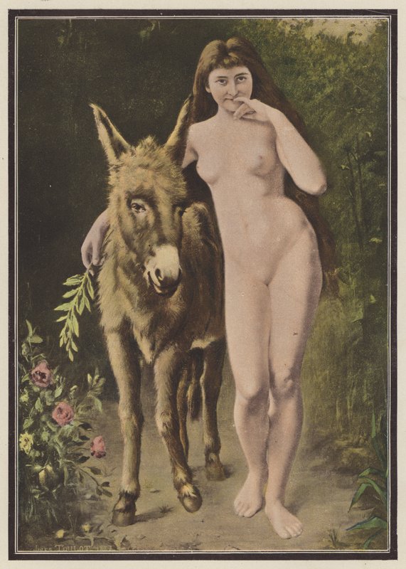 The Golden Ass by European School