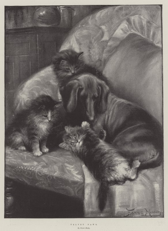 Velvet Paws by Fannie Moody
