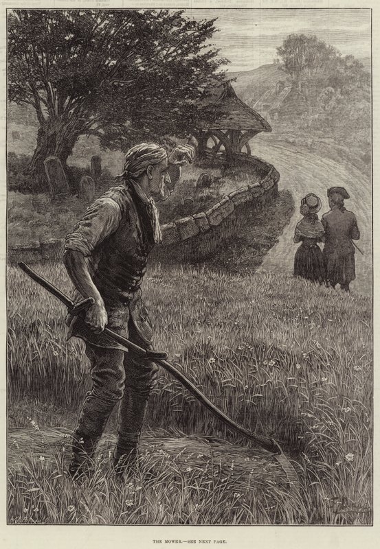 The Mower by Frank Dadd