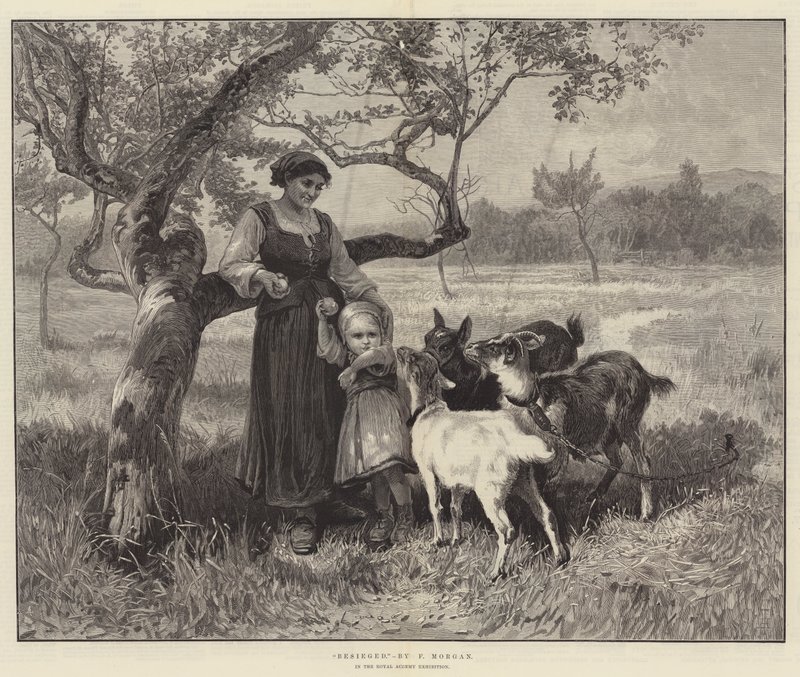 Besieged by Frederick Morgan