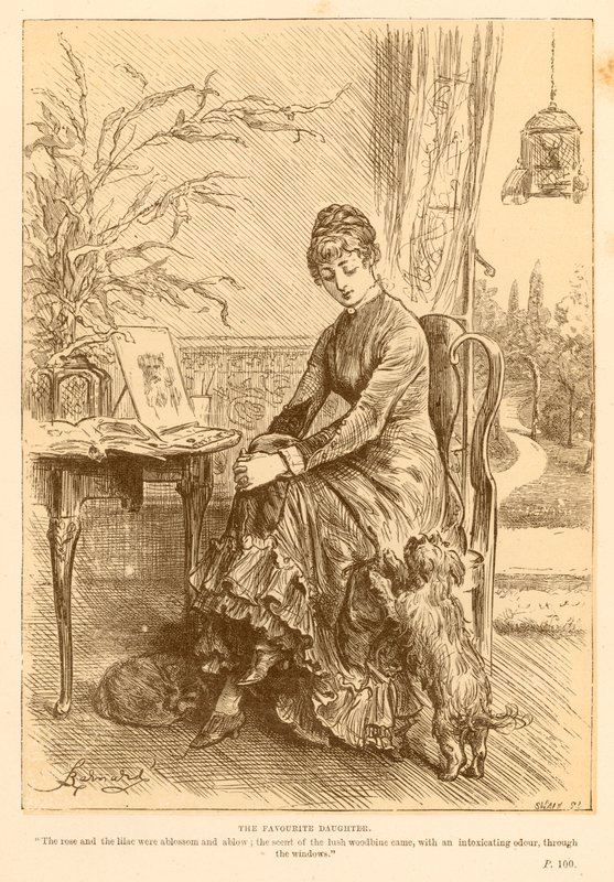 The Favourite Daughter by Frederick Barnard