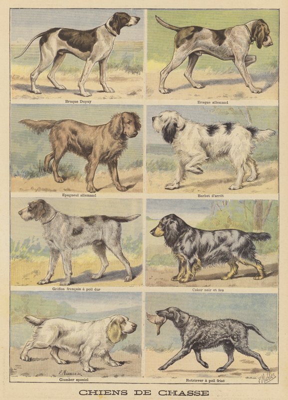 Hunting dogs by French School