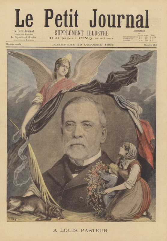 To Louis Pasteur by French School