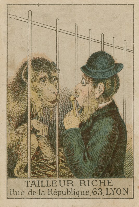 Ape and Man by French School