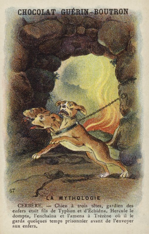 Cerberus by French School