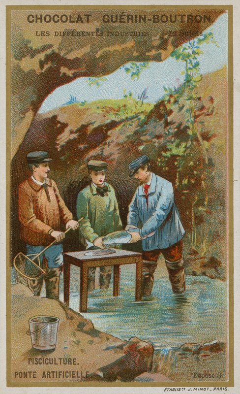 Fish farming by French School