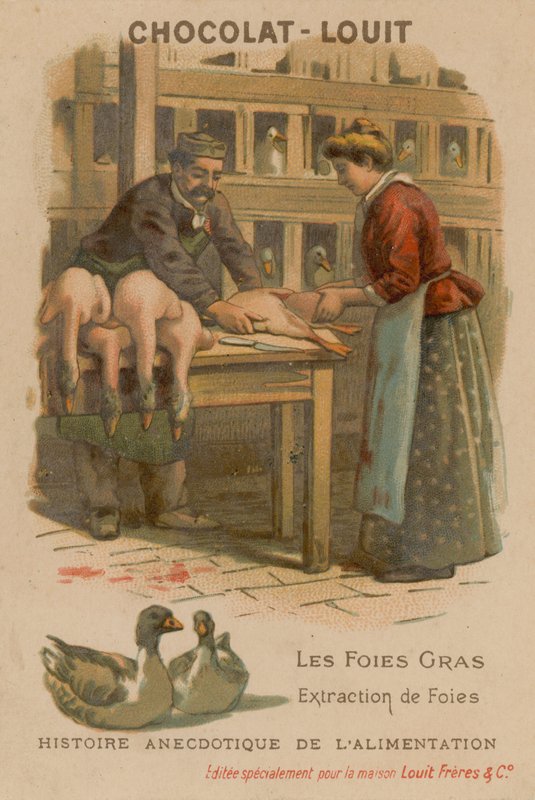 Foie Gras by French School
