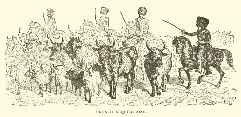 French Requisitions by French School