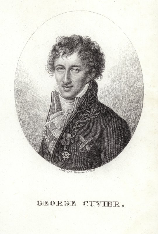 George Cuvier by French School