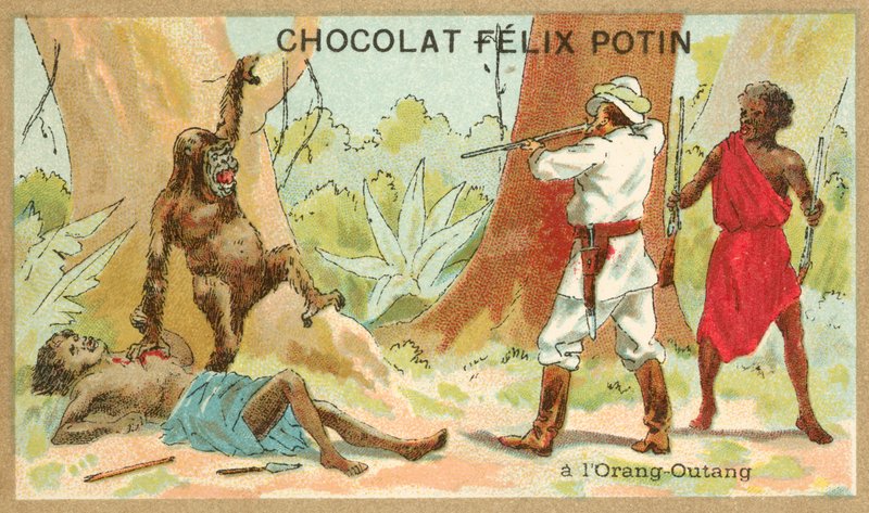 Hunting orangutan by French School