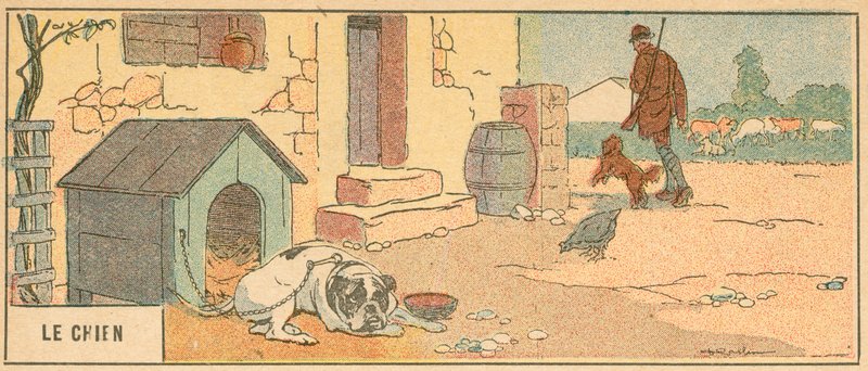 The Dog by French School