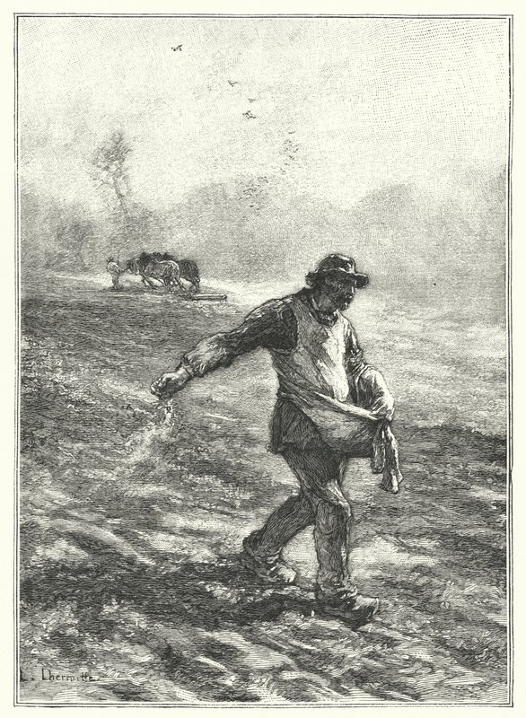 The Sowing by French School