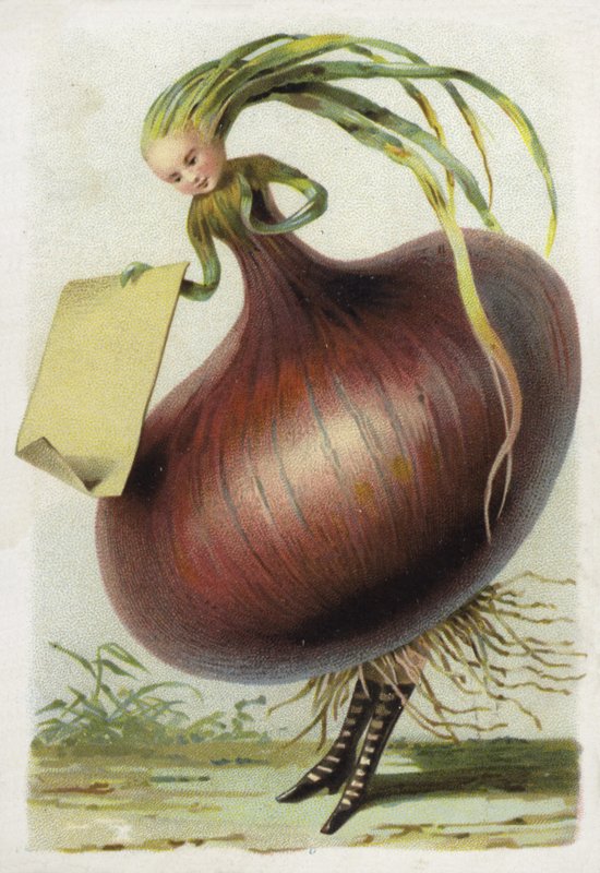 Onion by French School