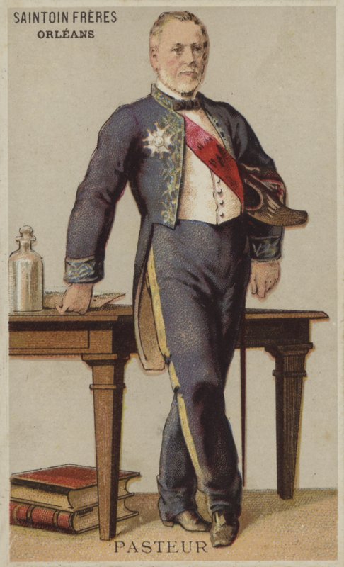 Pasteur by French School