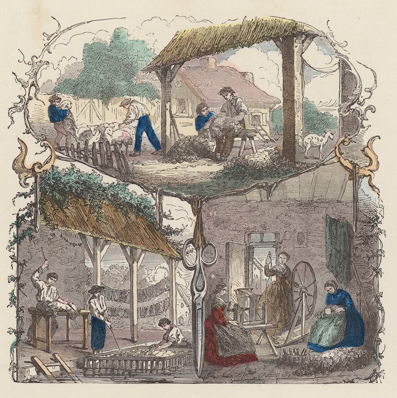 Production of Wool by French School