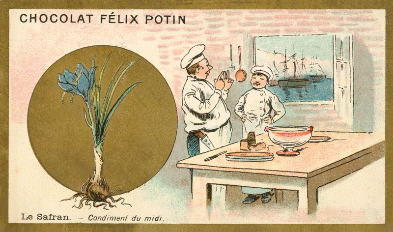 Saffron by French School