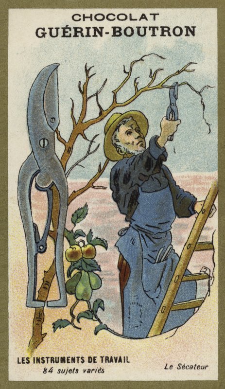 Secateurs by French School