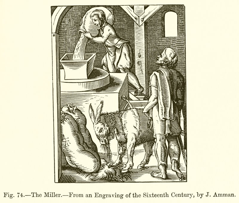 The Miller by French School