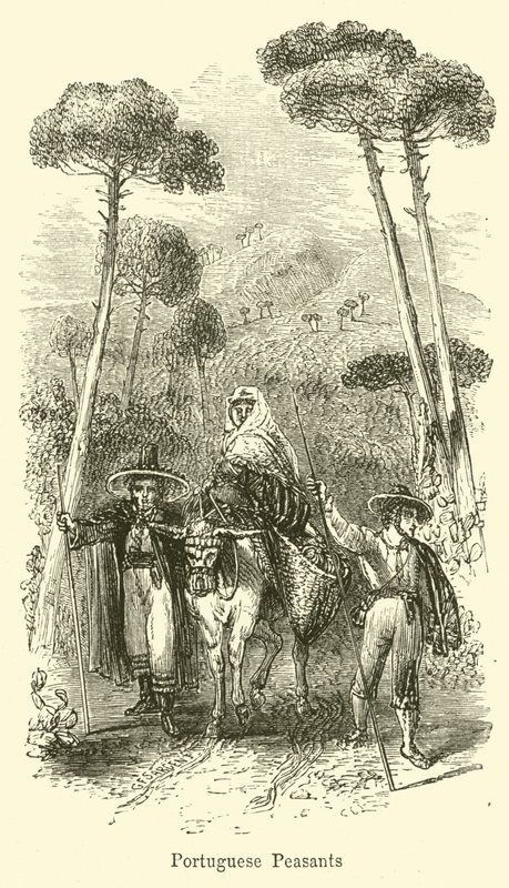 Portuguese Peasants by G. F. Sargent