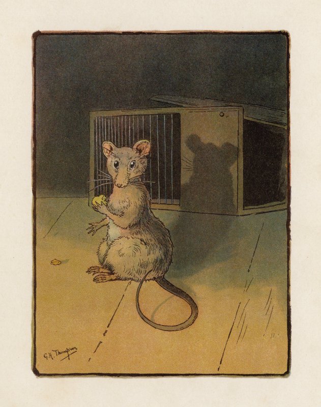 The Mouse by George Henry Thompson